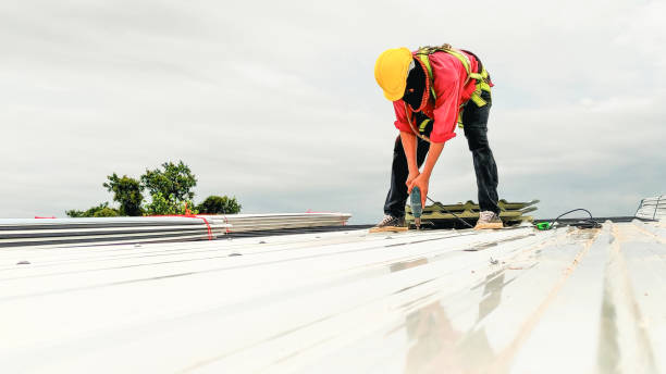 Best Gutter Installation and Repair  in Baldwin, GA